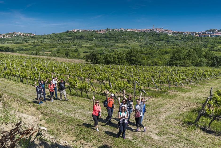 Istria Wine&Walk | Author: Promo