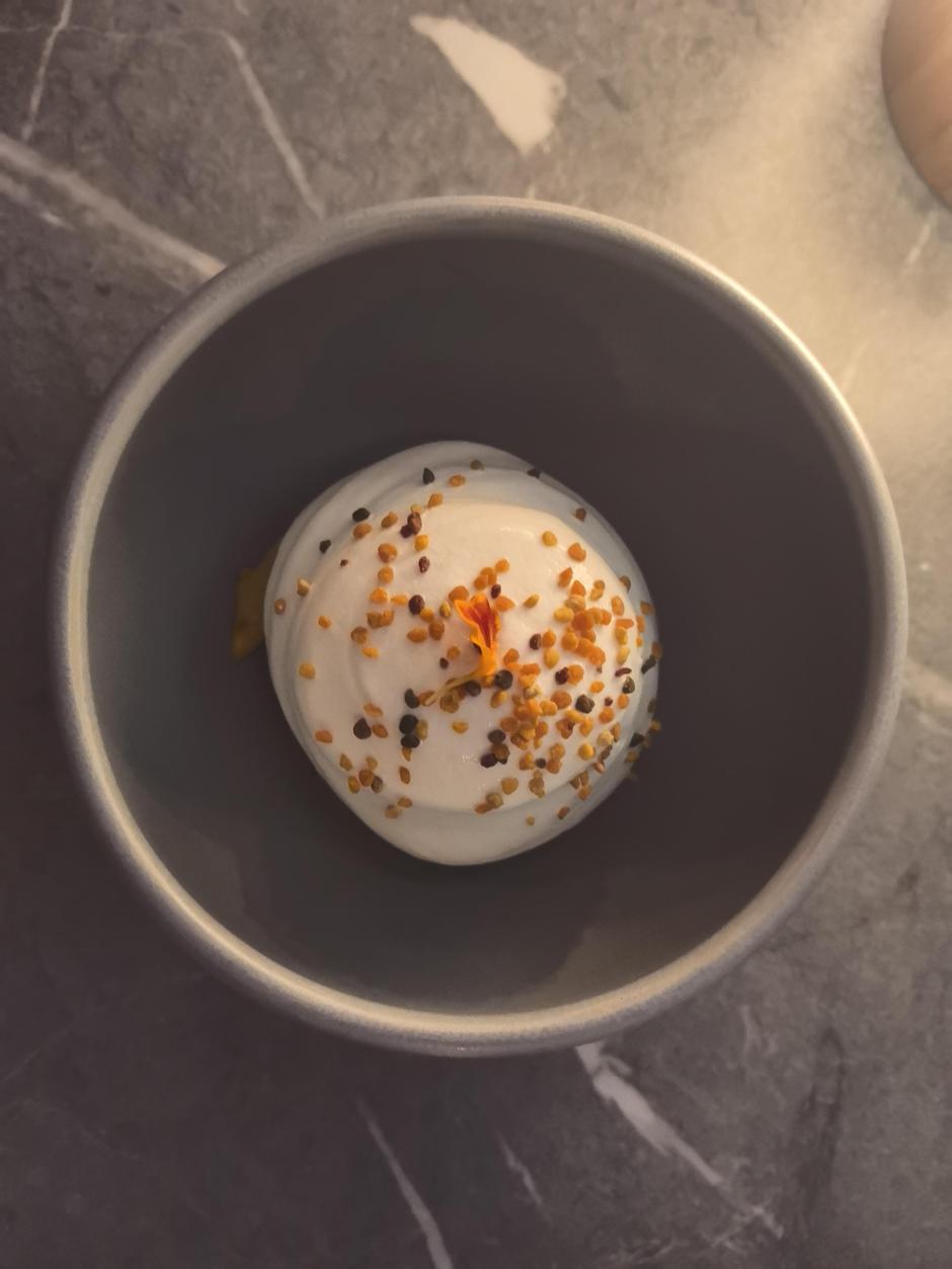 benvenuti, noel, santa elisabetta | Author: Emina Basara