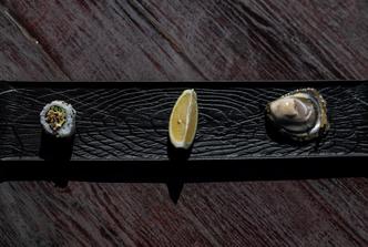 kamenice, bota šare