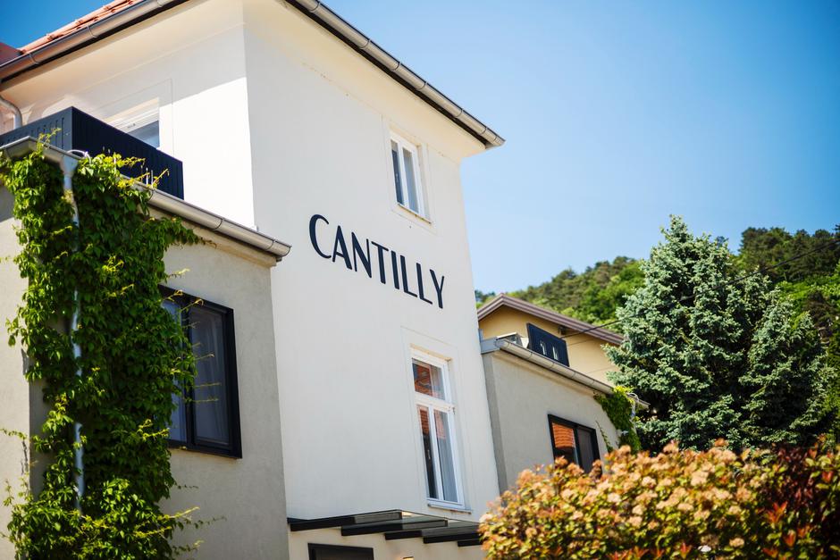 cantilly | Author: John Pavlish