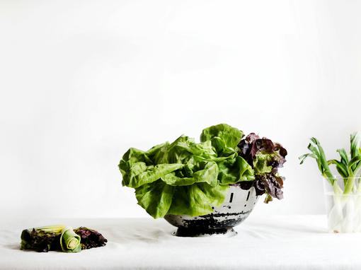salata, zeleno povrće, lisnato povrće