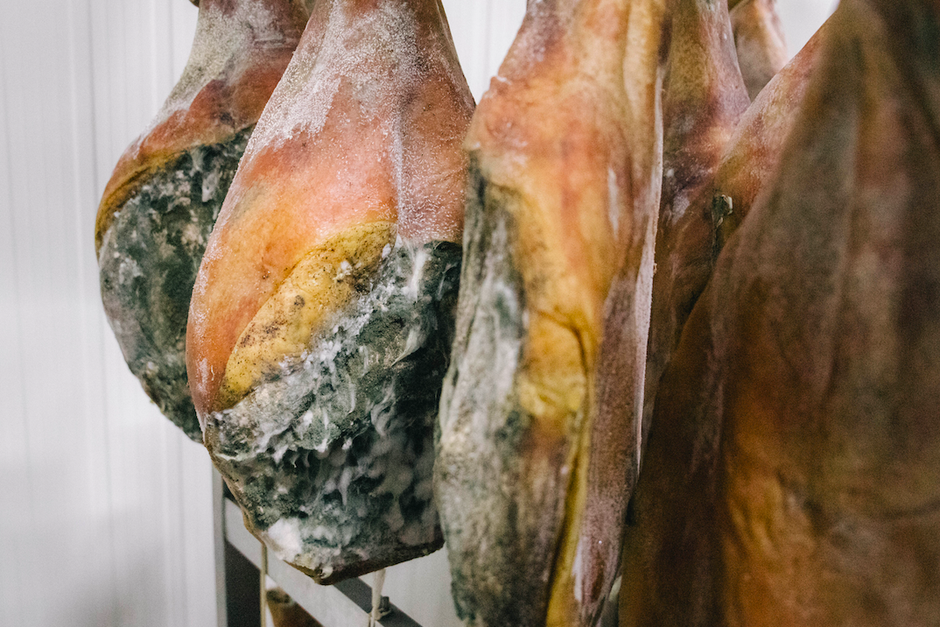 Travel to Taste Krk | Author: Press