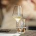 Zagreb: Održan najmanji Wine&Food festival