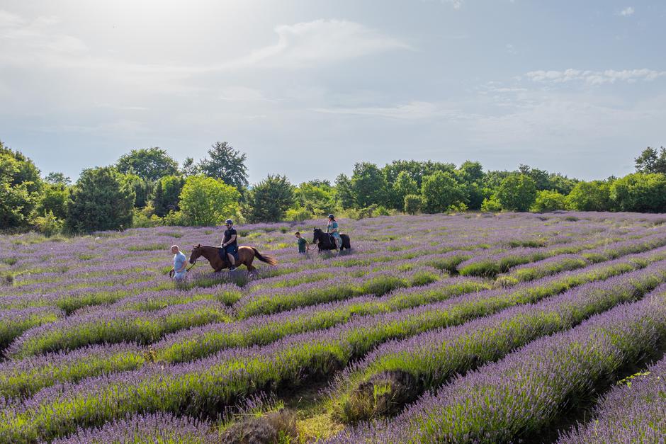 LAG Južna Istra | Author: PR