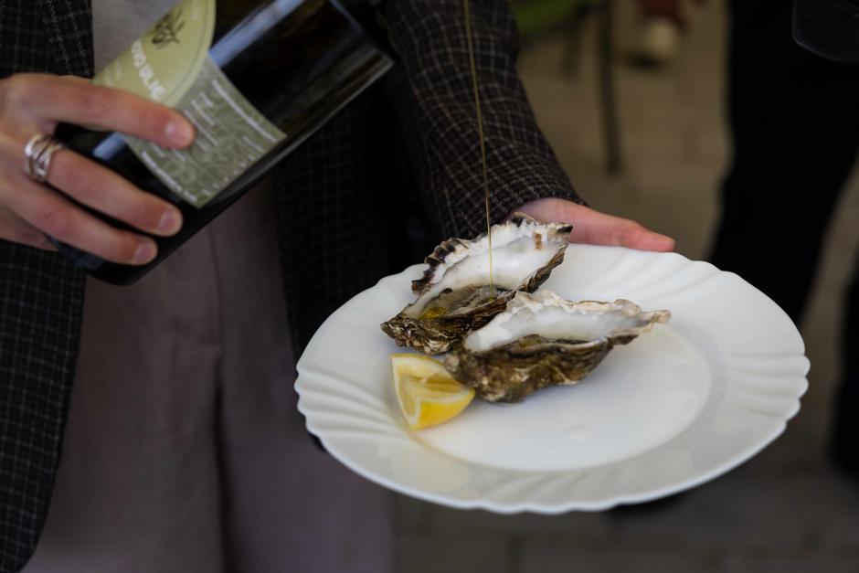 GM Kastav | Author: IB Media