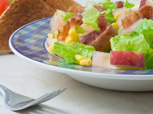 Salata slavonskih ravni