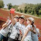 Viva Vino Vižinada 2025.