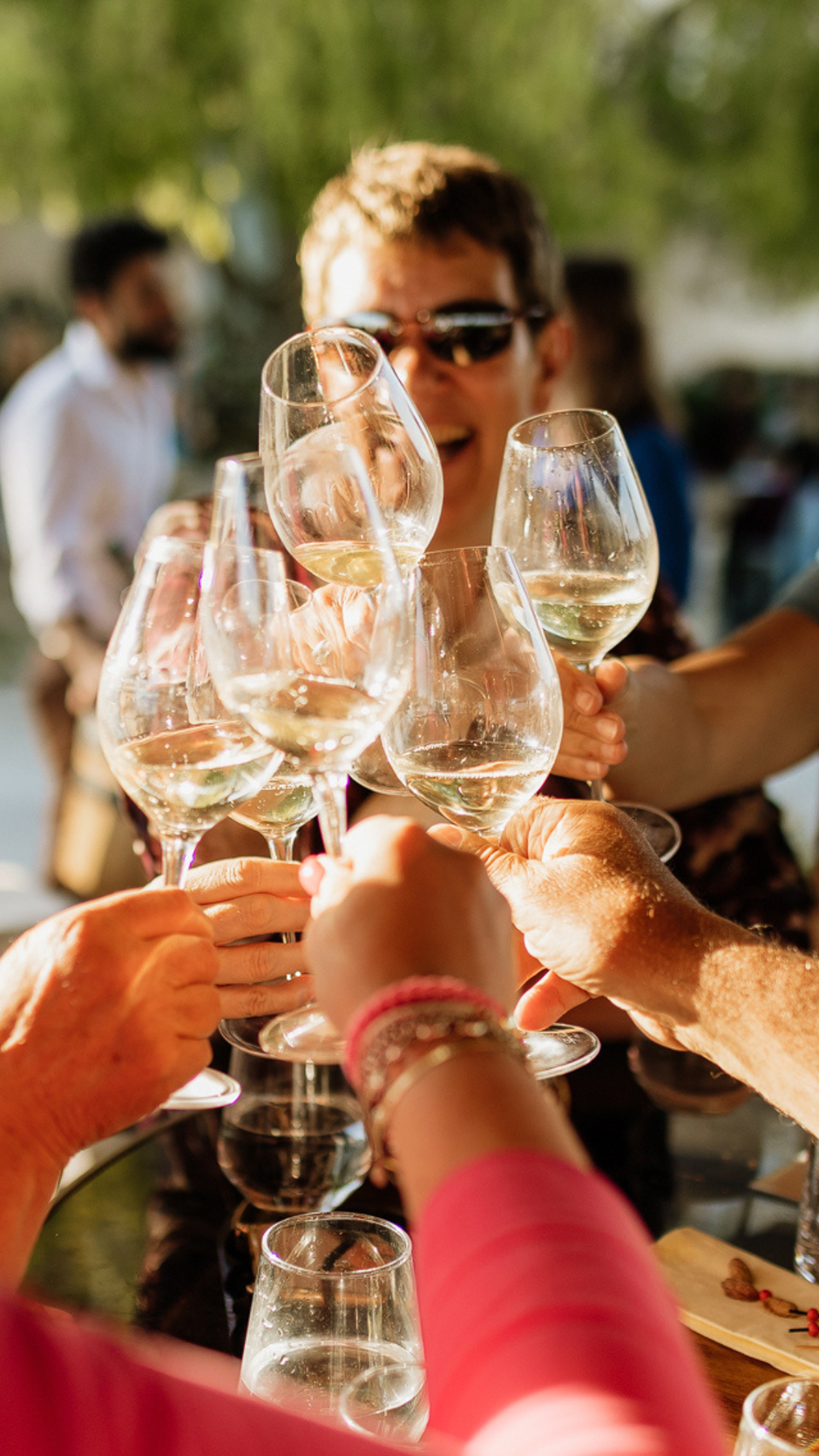 cattunar, malvazija day | Author: Press