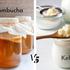 Kombucha ili kefir: što je bolje za tvoj probavni sustav?