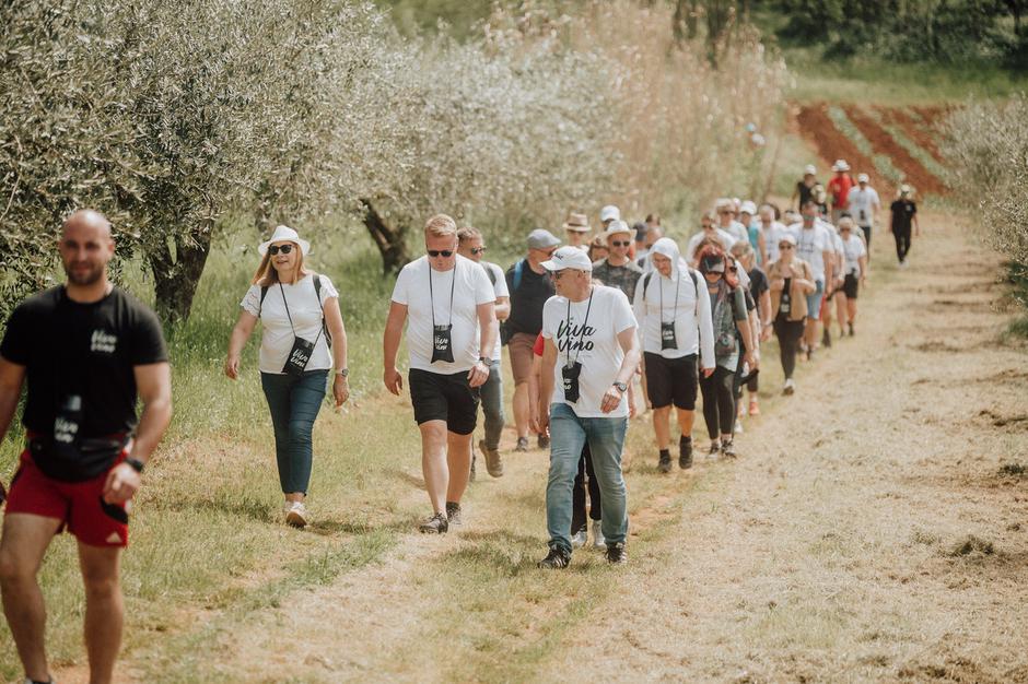 viva vino vižinada, wine&walk | Author: Arhiva TZ Vižinada