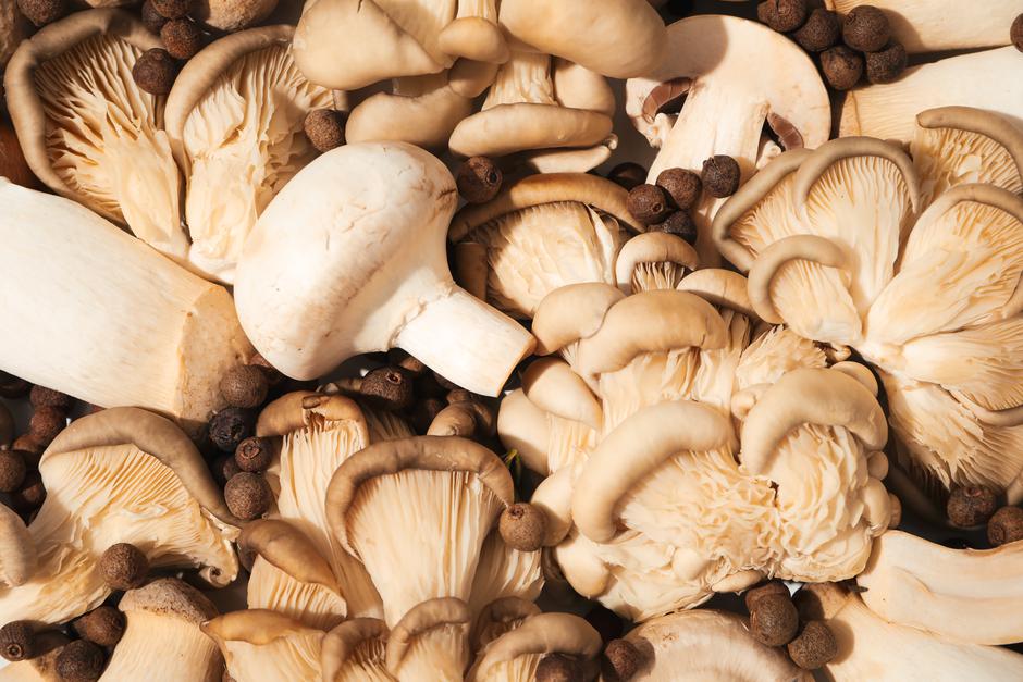Mushrooms, concept of autumn food, autumn harvest | Author: Atlascompany / Freepik