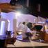 DUNAV WINE FESTIVAL 2026.