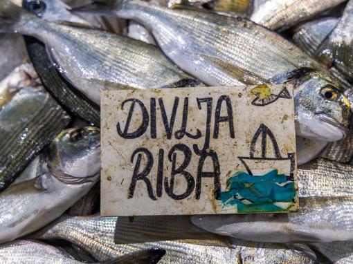 Pula: Ponuda ribe na pulskoj ribarnici