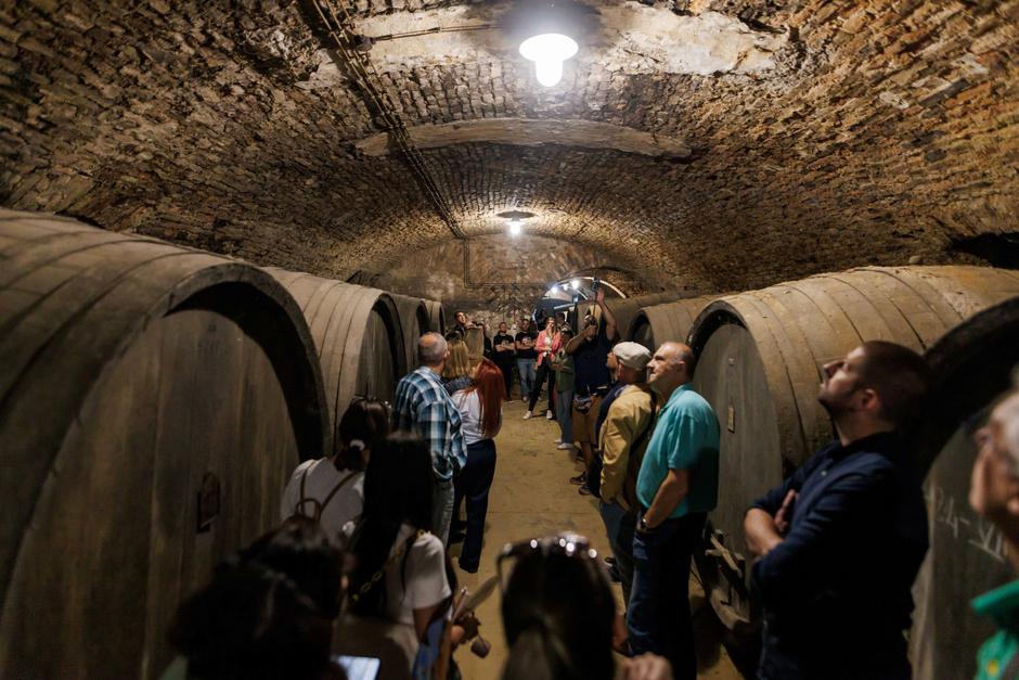 slow wine train | Author: Mario Đurkić, Horizont Solutions