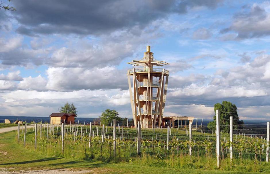 Međimurje Wine&Walk | Author: Nikola Zoko