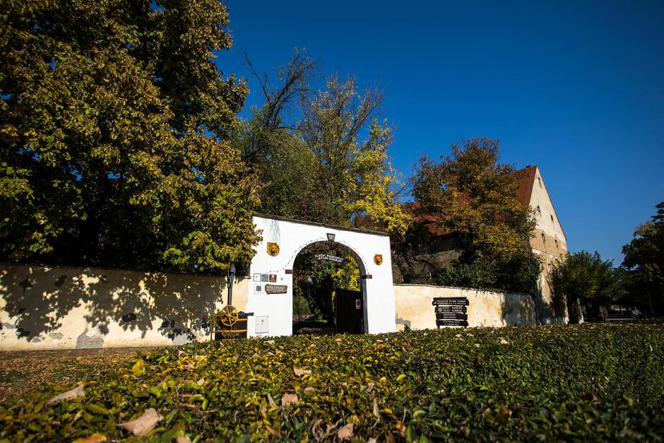 Iločki Stari podrum - vina koja se piju na kraljevskom dvoru | Author: Emica Elvedji/PIXSELL