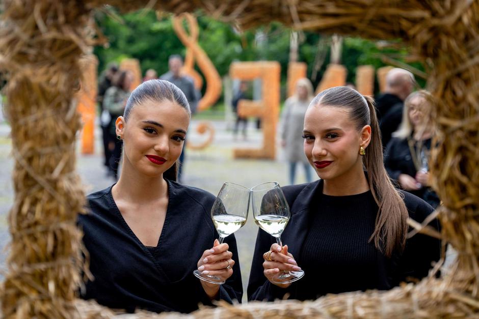 osijek, Večer vina i umjetnosti | Author: Element Media