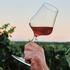vino, vinograd