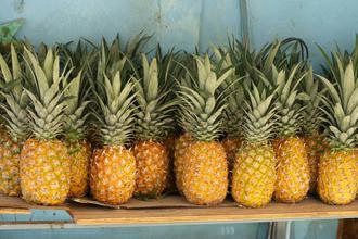 ananas