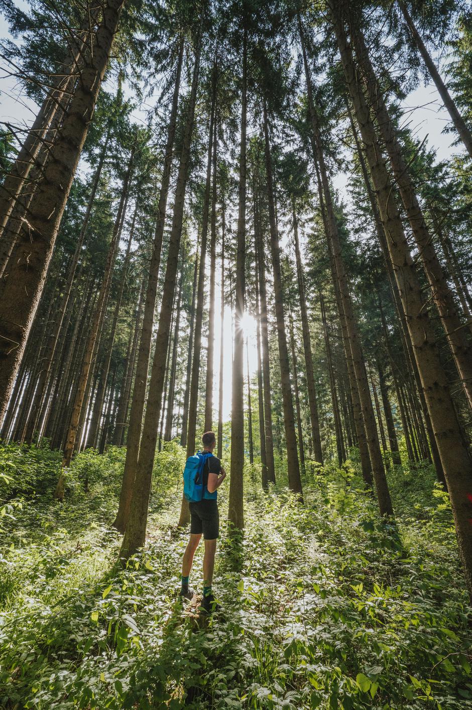 Gorski kotar | Author: Mario Jurina