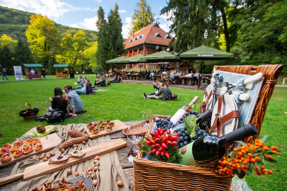 Slavonija i Podravina, wine not | Author: Matija Turkalj