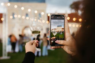 dunav wine festival