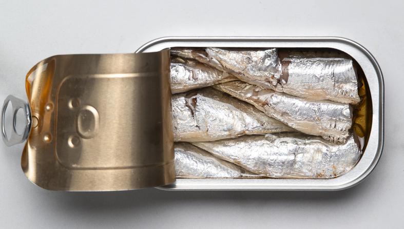 Jesu li sardine zdrave