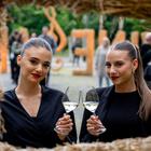 osijek, Večer vina i umjetnosti