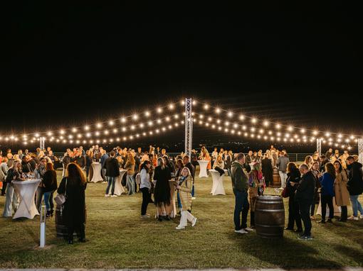 dunav wine festival 2025.