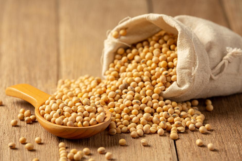 Soybean Sauce and Soybean on Wooden Floor Soy sauce Food nutriti | Author: Jcomp / Freepik