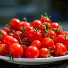 cherry rajčice