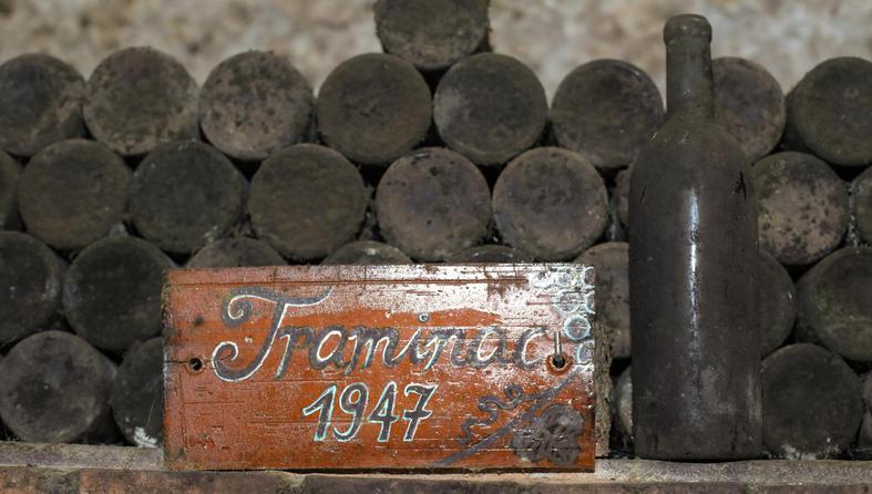 Ilok: U arhivi vina Iločkih podruma nalazi se i Traminac iz 1947. koji je bio na krunidbi kraljice Elizabete