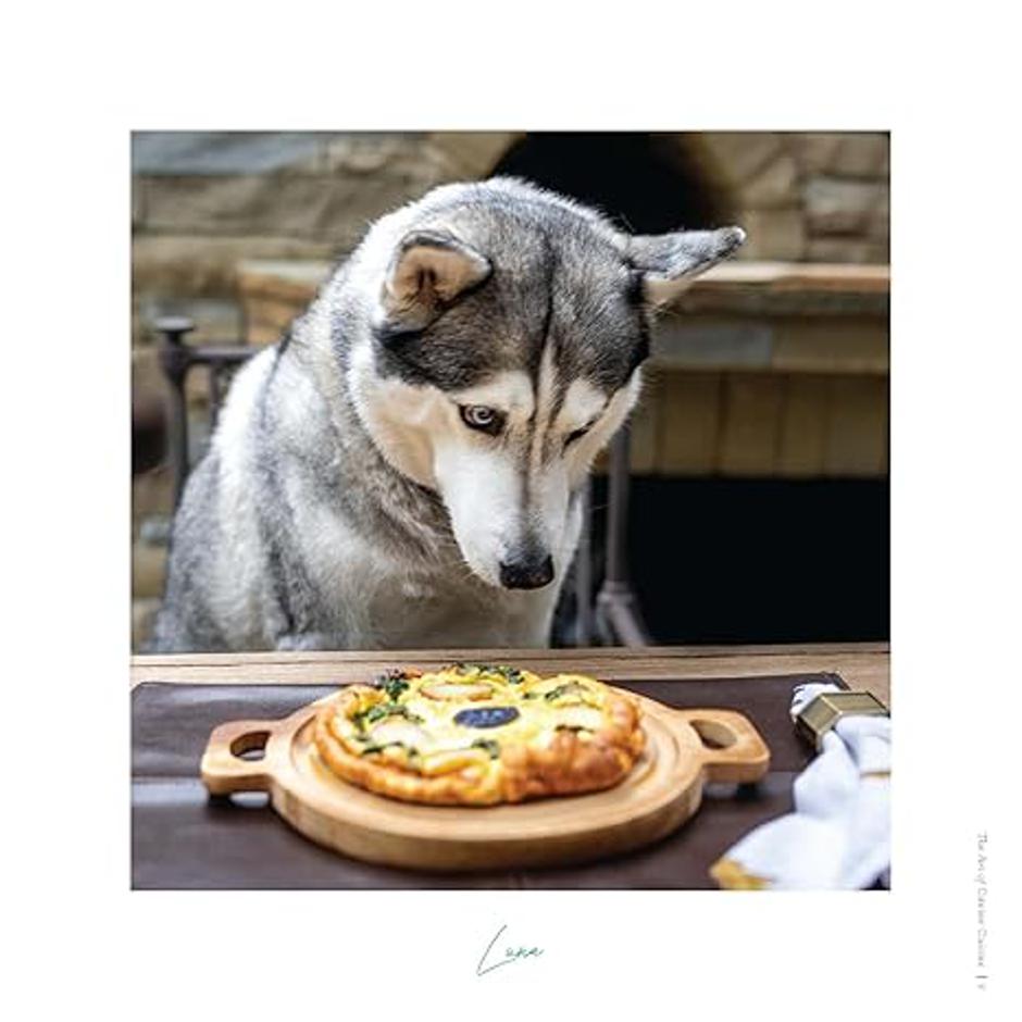 "The Art Of Canine Cuisine" | Author: Amazon.com