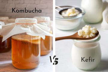 Kombucha ili kefir: što je bolje za tvoj probavni sustav?