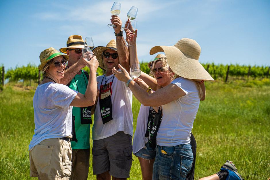 viva vino vižinada, wine&walk | Author: Arhiva TZ Vižinada