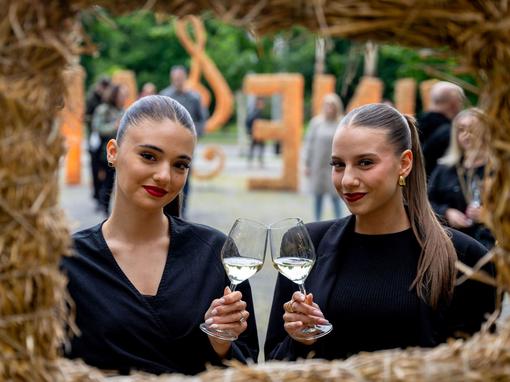 osijek, Večer vina i umjetnosti