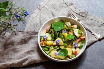 Proljetna salata