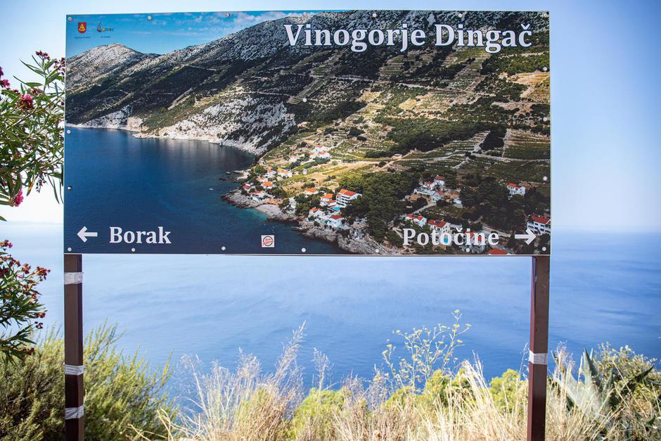 pelješac, dingač, plavac mali | Author: Grgo Jelavić/PIXSELL