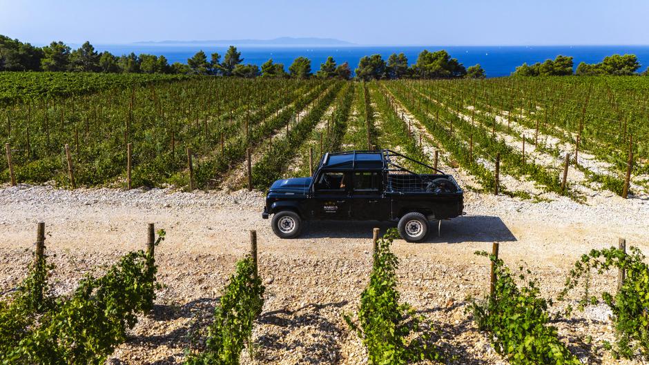 Markus Wines | Author: Press