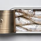 Jesu li sardine zdrave