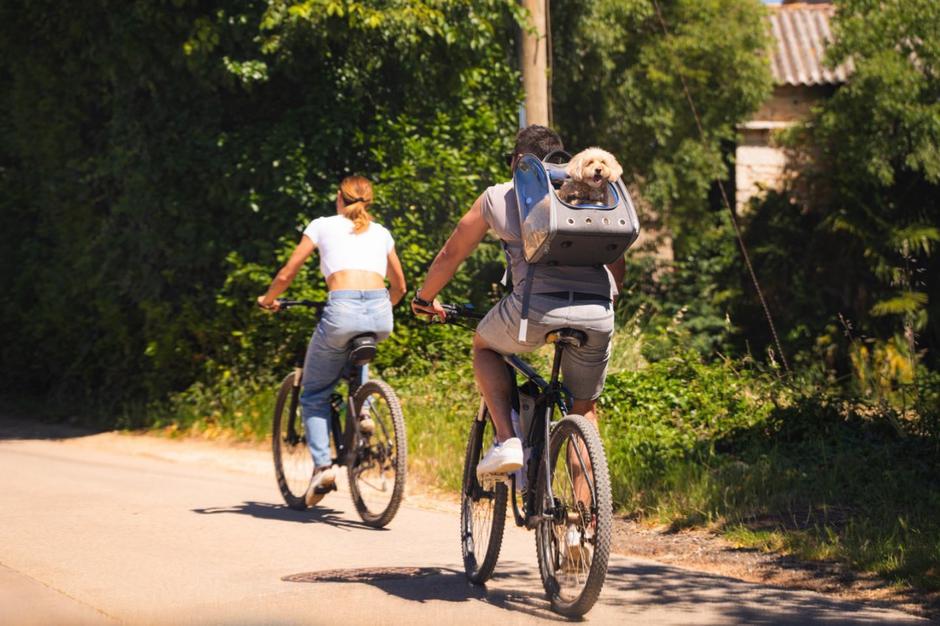 gourm-e-bike, kaštelir labinci | Author: Studio 11