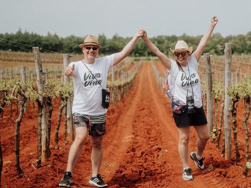 viva vino vižinada, wine&walk