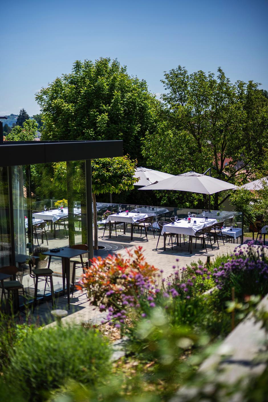 mario mihelj, luka dažamrija, cantilly | Author: Press