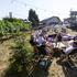 wine summer