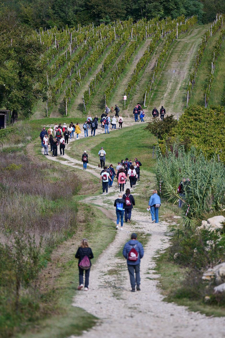 Teran Wine & Walk | Author: Merlo De Graia