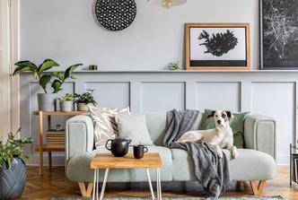 Feed/24Sata-Lifestyle/2026-40/154408628-M.Jpg