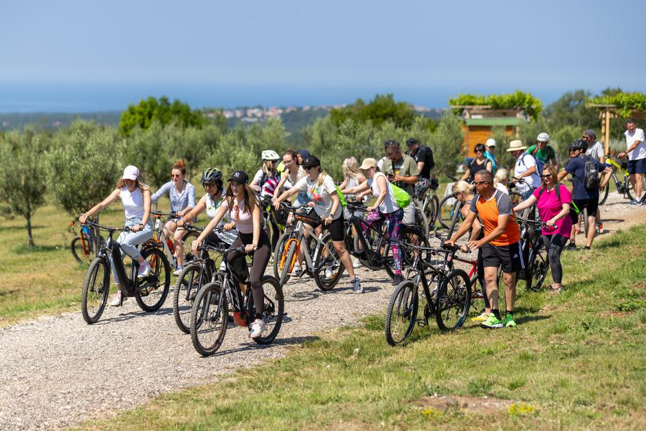 Gourm-E-Bike | Author: Manuel Paljuh