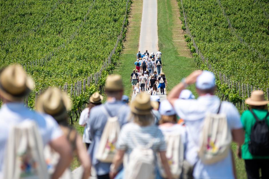 baranja wine and walk | Author: TZ Baranje
