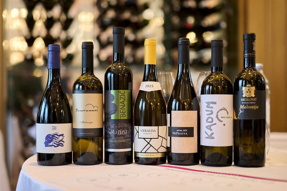 vinistra en primeur | Author: Merlo De Graia