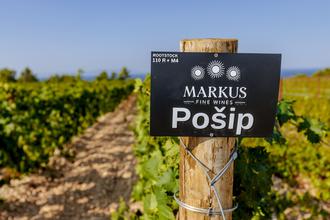 Markus Wines